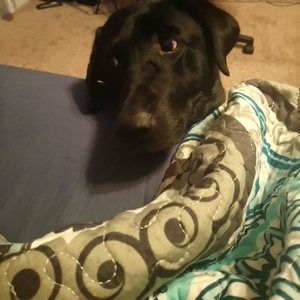 Meet your Posher, Ln